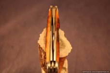 Tuna Valley Cutlery India Amber Stag Carpenter Whittler.   #483