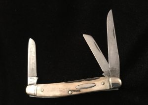 Schrade Walden 895 India Stag