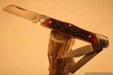 Tuna Valley Cutlery India Amber Stag Carpenter Whittler.   #487
