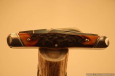 Tuna Valley Cutlery India Amber Stag Carpenter Whittler.   #487