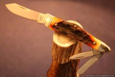 Tuna Valley Cutlery Amber Stag Humpback Whittler. 1 of 50.   #588