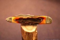 Tuna Valley Cutlery Amber Stag Humpback Whittler. 1 of 50.   #588
