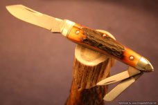 Tuna Valley Cutlery Amber Stag Humpback Whittler. 1 of 50.   #589