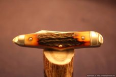 Tuna Valley Cutlery Amber Stag Humpback Whittler. 1 of 50.   #589