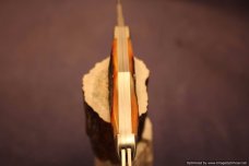Tuna Valley Cutlery Amber Stag Humpback Whittler. 1 of 50.   #589
