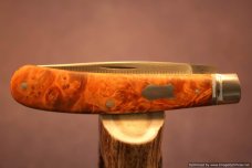 Todd Davison Dyed Box Elder Burl Folder. #1540