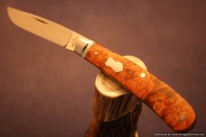 Todd Davison Dyed Box Elder Burl Folder. #1540