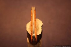 Todd Davison Dyed Box Elder Burl Folder. #1540