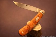 Todd Davison Dyed Box Elder Burl Folder. #1540