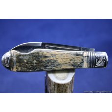 Tuna Valley Mammoth Ivory Easy Open Tear Drop. #509