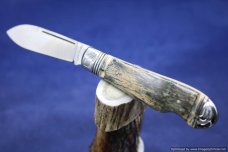 Tuna Valley Mammoth Ivory Easy Open Tear Drop.   #509