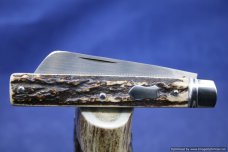 Todd Davison Traditional Stag Folder.   #1380