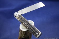 Todd Davison Traditional Stag Folder.   #1380