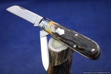 Queen City Cutlery #69 Sambar Stag Barlow.  1 of 15 Issued.   #629