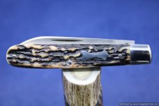 Todd Davison White Stag Folder Knife. #658