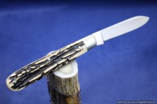 Todd Davison White Stag Folder Knife. #658