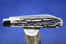 Todd Davison White Stag Folder Knife. #658