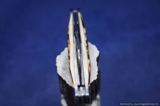 Tuna Valley Cutlery Burnt Stag Carpenter Whittler. #559