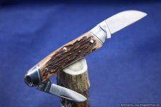 Schatt & Morgan #43 Jumbo Half Whittler Red Elk 1/150. #572