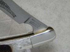 Parker & Son Chattanooga, TN Made in Japan Bone Stag M-1501 Razor Trapper Knife