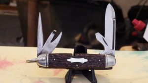 Utica four blade Scout Knife Jigged bone handles Nice!   