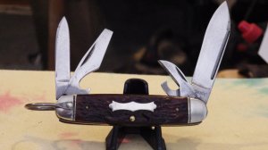Boker four blade Scout Knife Jigged bone handles Nice!   