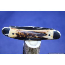 Schatt amp Morgan 60 Two Blade Stag Sowbelly Short Run 1 of 50 462
