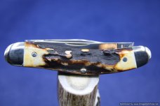 Schatt & Morgan #60 Two Blade Stag Sowbelly, Short Run 1 of 50 #462