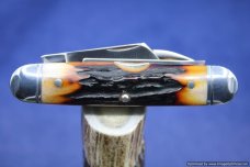 Tuna Valley Cutlery Amber Stag Cattleman Knife.  #573