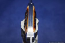Tuna Valley Cutlery Amber Stag Cattleman Knife.  #573