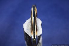 Schatt & Morgan #69 Keystone Straight Jack Exclusive Limited Production.  #883