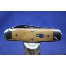 Schatt amp Morgan 65 Mammoth Ivory Baby Sunfish 100 Issued 682