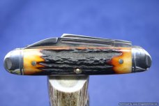 Tuna Valley Cutlery Amber Stag Cattleman Knife.  #574