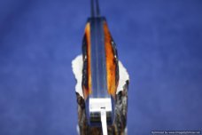 Tuna Valley Cutlery Amber Stag Cattleman Knife.  #574