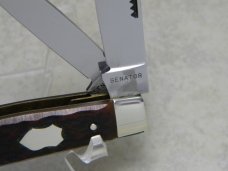 Senator Solingen Germany Bone Medium Stockman Knife