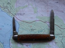 Duane Cutlery Pen Knife Pressed Stag Germany 1910-1920