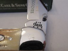 Case XX Mid Folding Hunter Bone Stag Pattern # 6.51265LC SS