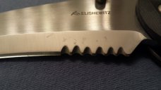 Allen Elishewitz "Hawk"