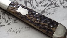 Gobernador Single Sheeps Foot Blade Pocket knife      Jigged Bone Handles