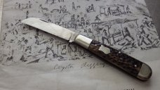 Gobernador Single Sheeps Foot Blade Pocket knife      Jigged Bone Handles