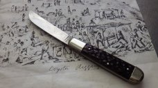 Gobernador Single Sheeps Foot Blade Pocket knife      Jigged Bone Handles