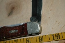 Large Case Two Blade Folding Hunter