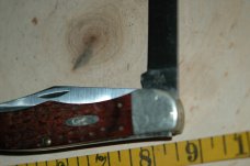Large Case Two Blade Folding Hunter