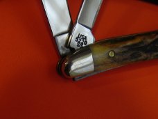 Case xx 1st Run, 2006, 2 Blade Peanut (5220 SS) Knife w/ Genuine India Stag Handles -NOS +Orig box