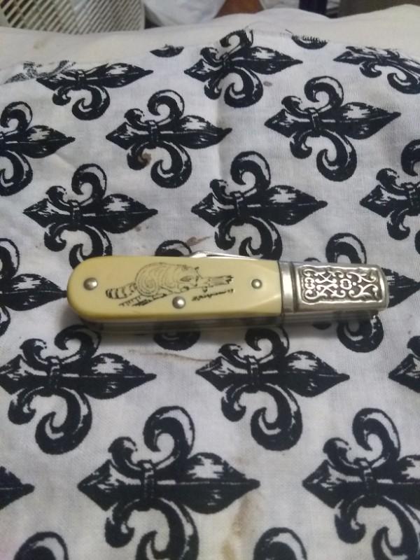 SCHRADE SCRIMSHAW TWO BLADE BARLOW (SC506) WITH RACCOON NATURE SCENE & FANCY BOLSTERS