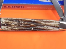 Bulldog Brand Celebrated Anglo Saxon Whittler Knife w Second Cut Stag Handles +Blade Etch -5 & 1/4"
