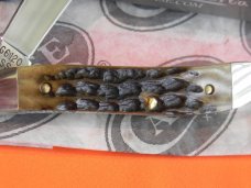Case xx 1988 Single Blade Peanut (G6120 SS)  Pocket Knife with Greenish Bone Handles & -NOS & M/NM