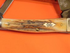 Case xx 2009 Whittler with Antique Stag Handles -V53 55WH SS -Special Blade Coating w/ Scroll Etch