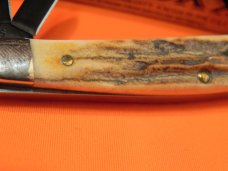 Case xx 2009 Whittler with Antique Stag Handles -V53 55WH SS -Special Blade Coating w/ Scroll Etch