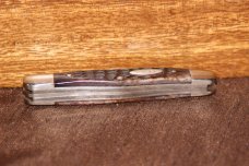 Vintage 1978 Case XX 6308 Whittler Red bone knife (#174)